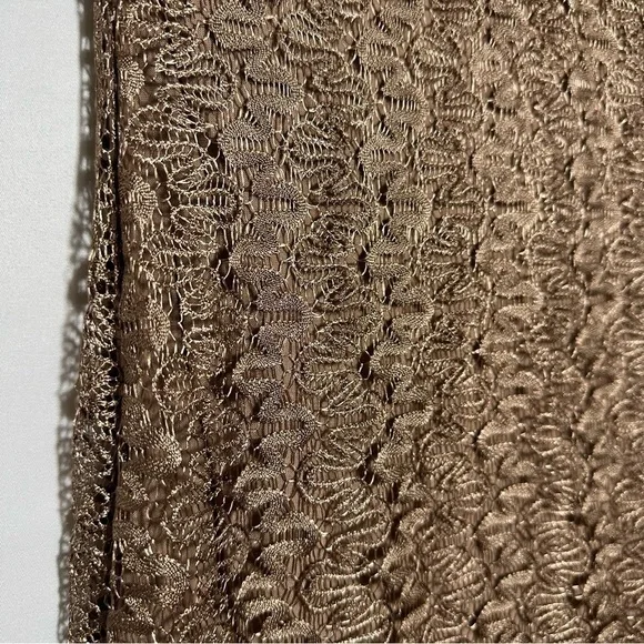 NWT Lovers + Friends Brown Lace Dress Size XS - Picture 3 of 7